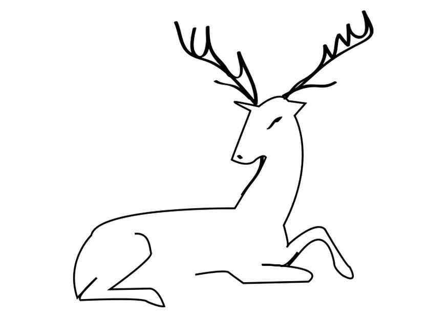 ciervo Dibujo para colorear ciervo