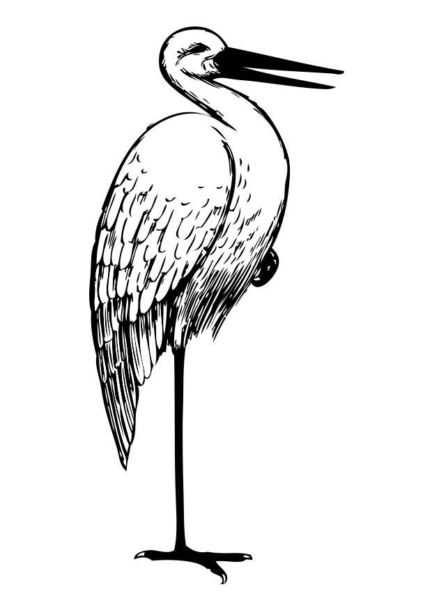 cigA¼ena Dibujo para colorear cigA¼ena
