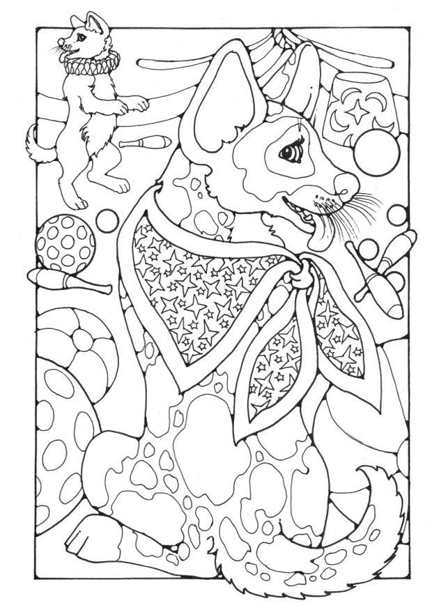 circo Dibujo para colorear circo