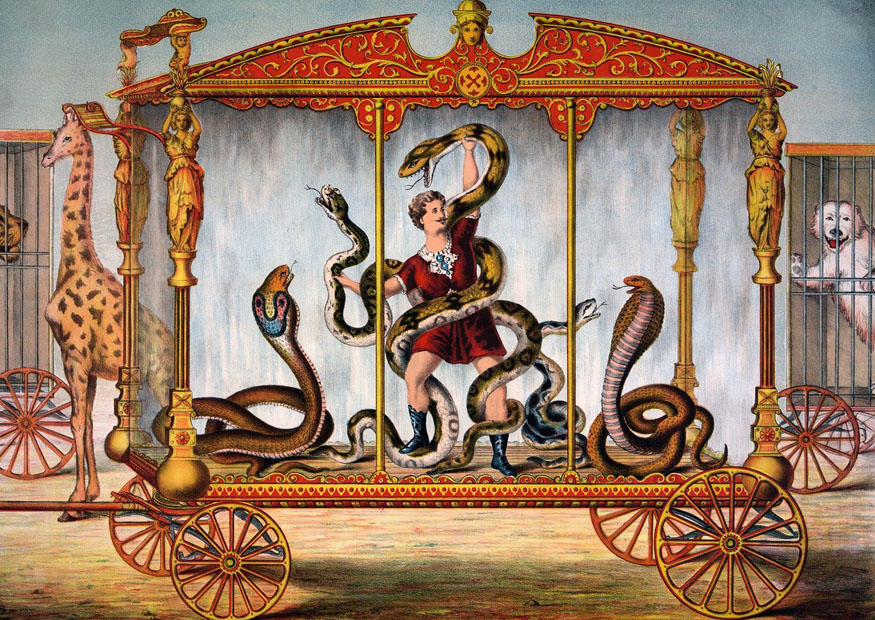 circo Imagen circo