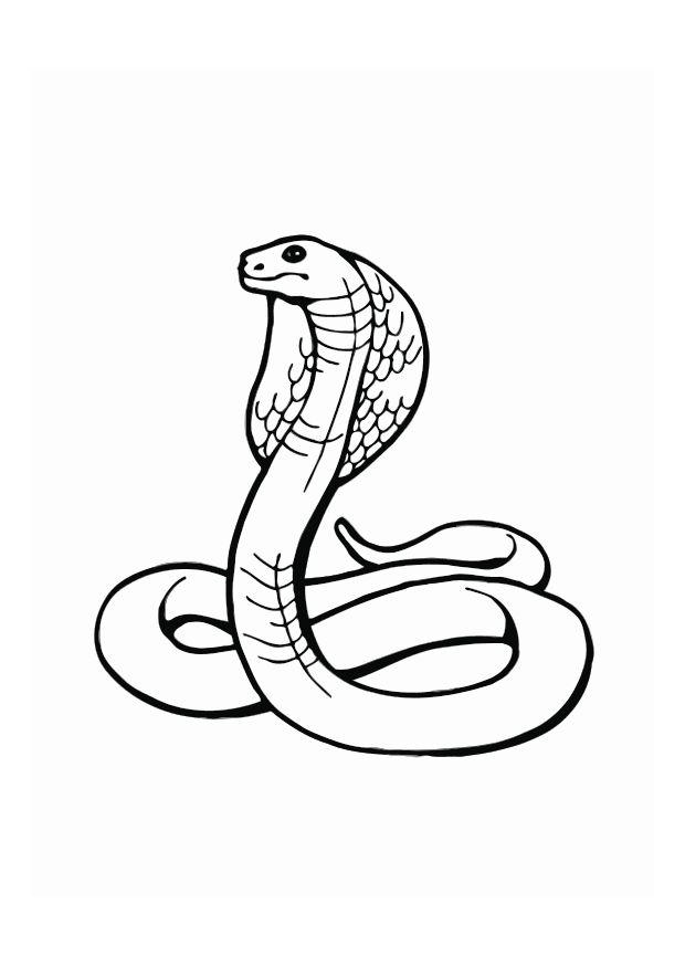 Dibujo para colorear cobra