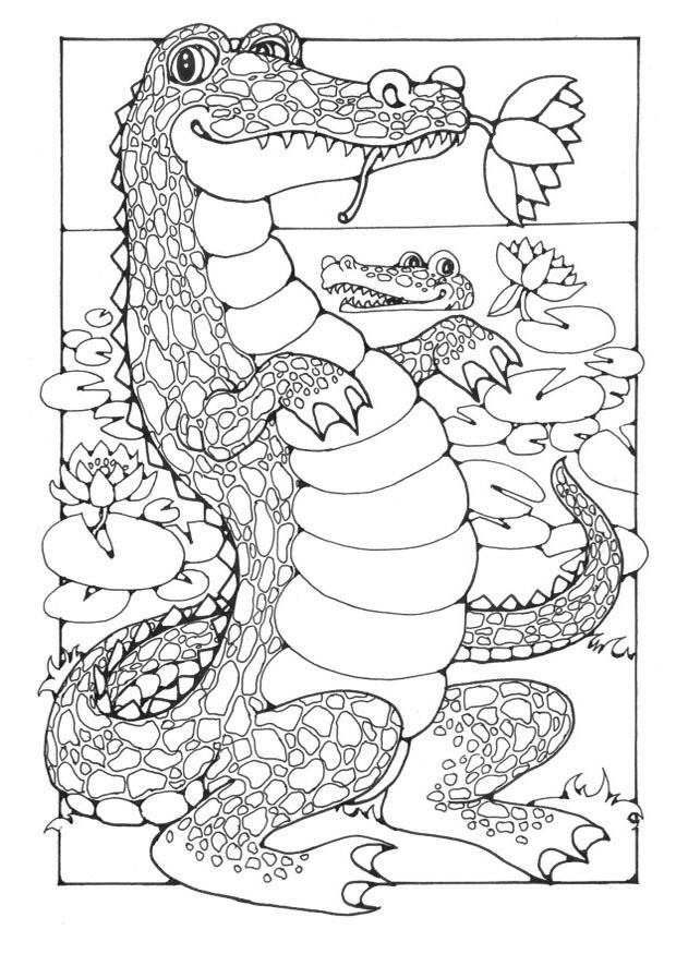 cocodrilos Dibujo para colorear cocodrilos