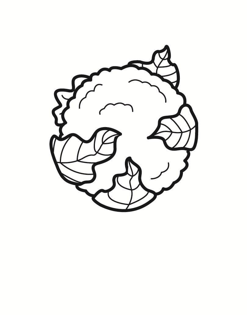 coliflor Dibujo para colorear coliflor