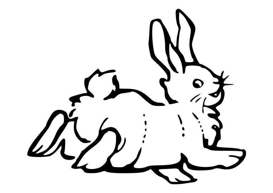 conejo Dibujo para colorear conejo