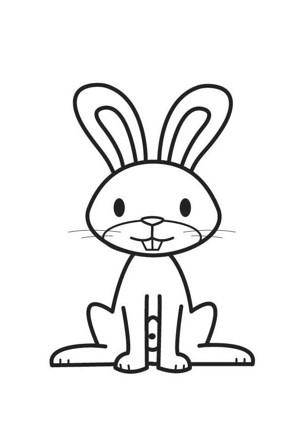conejo Dibujo para colorear conejo