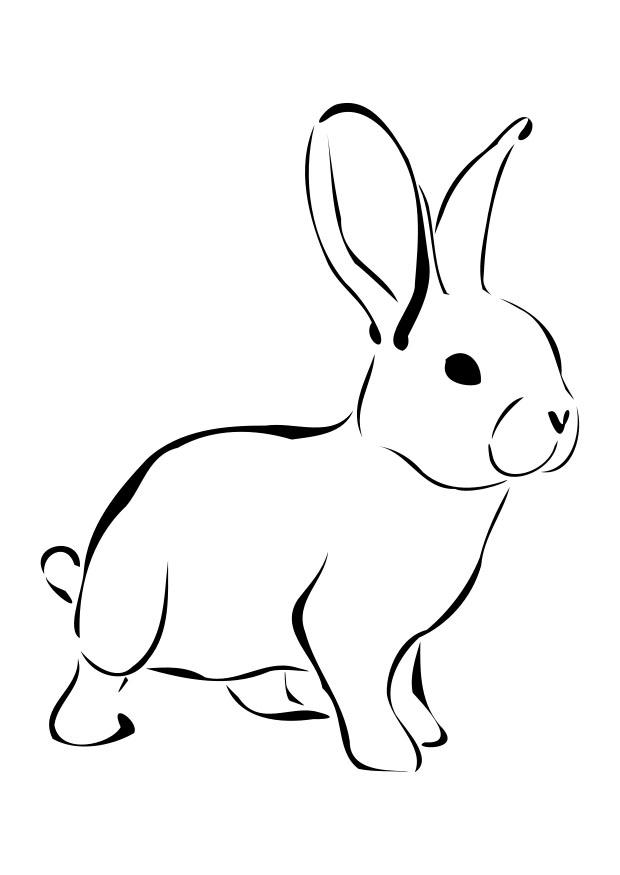 conejo Dibujo para colorear conejo