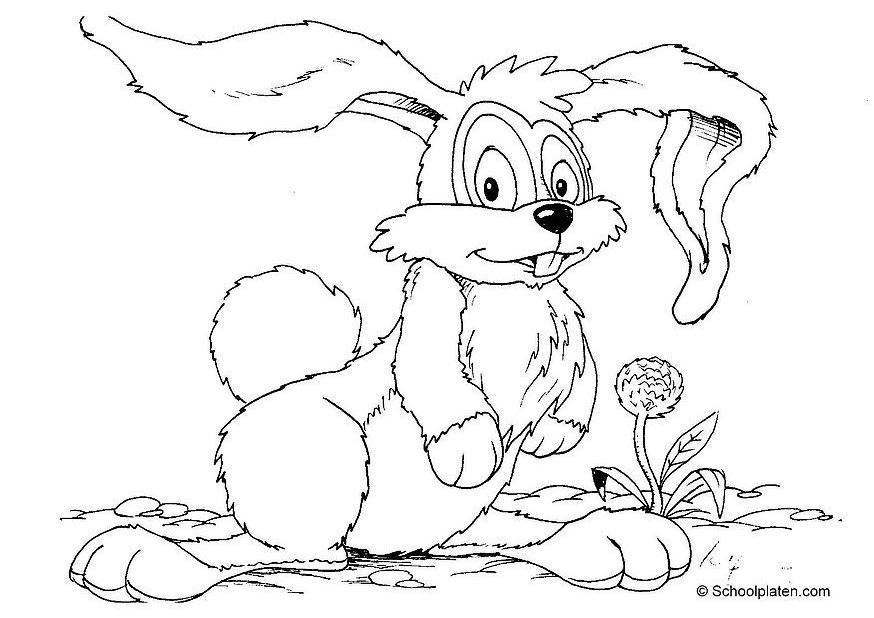 conejo Dibujo para colorear conejo