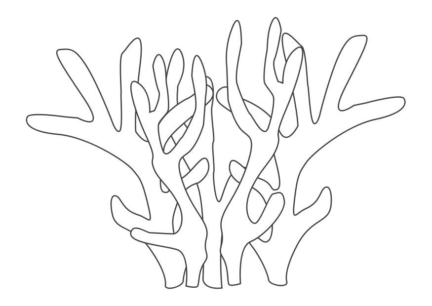 coral Dibujo para colorear coral