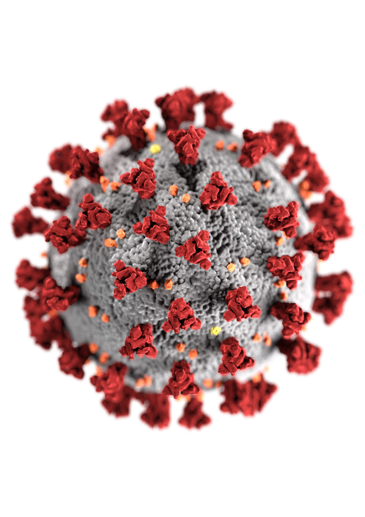 coronavirus Imagen coronavirus
