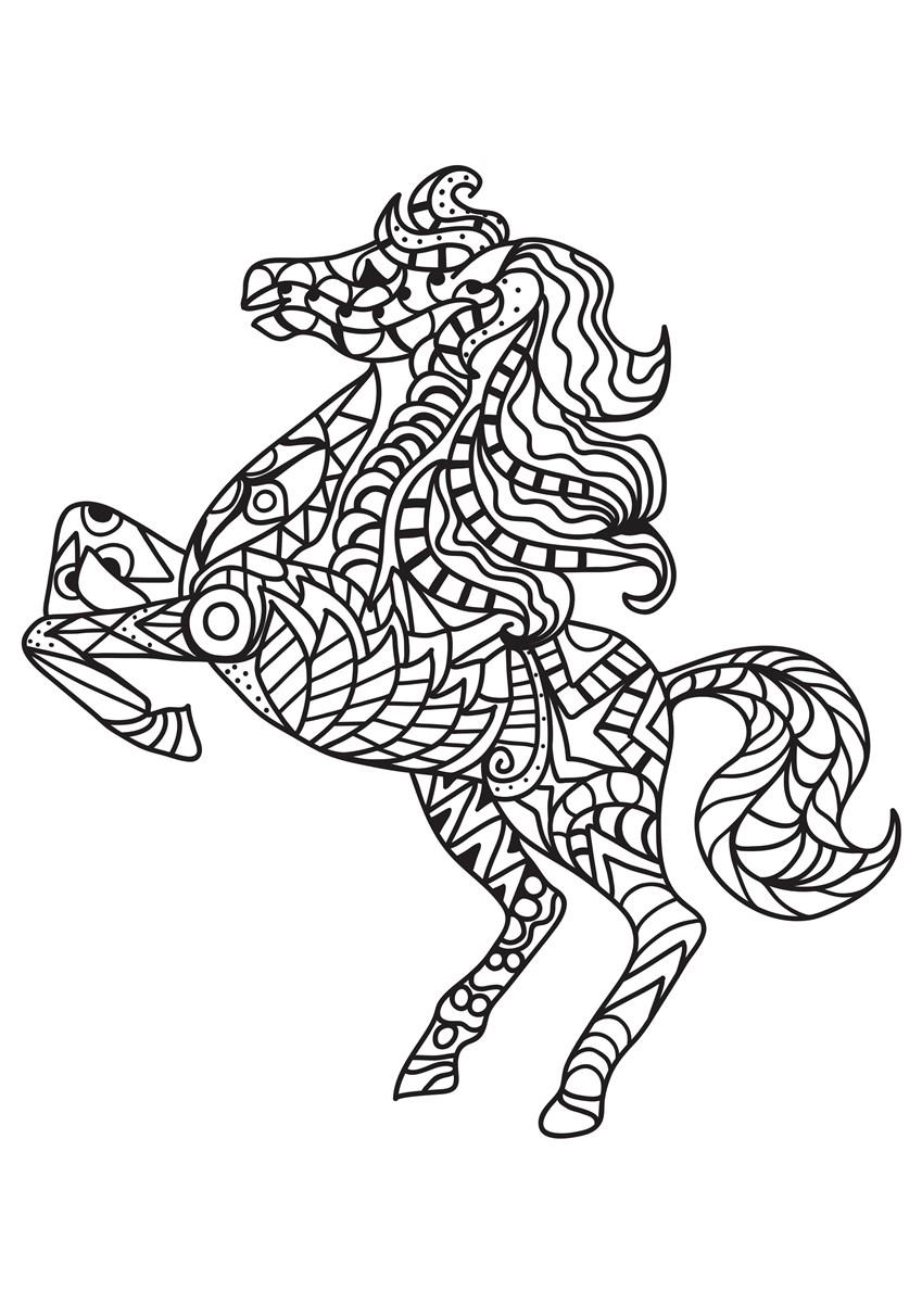 crAa de caballo Dibujo para colorear crAa de caballo