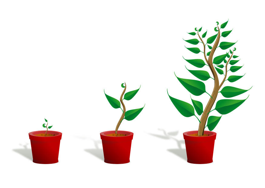 crecer Imagen crecer