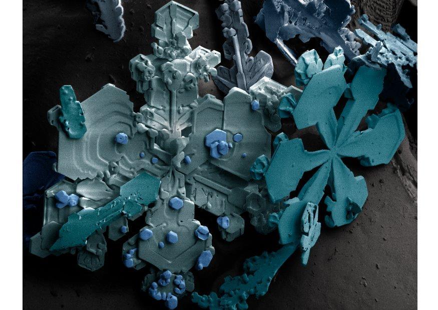 cristales de nieve en un microscopio Foto cristales de nieve en un microscopio