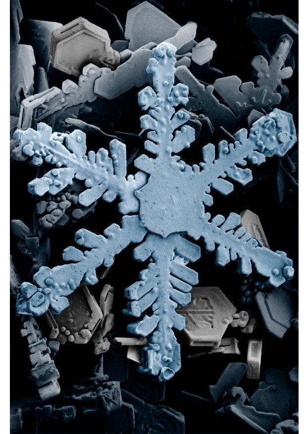 cristales de nieve en un microscopio Foto cristales de nieve en un microscopio