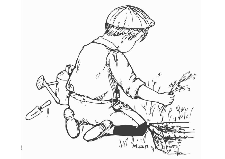 Dibujo para colorear cuidar el jardA­n 