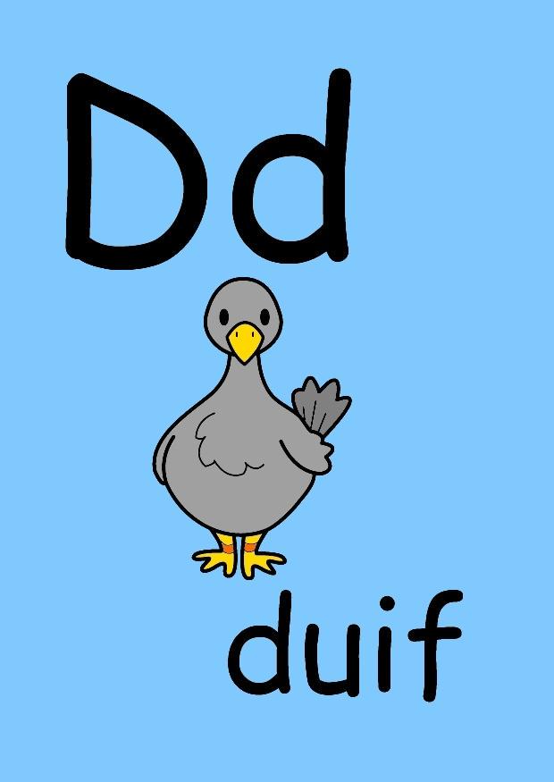 d Imagen d