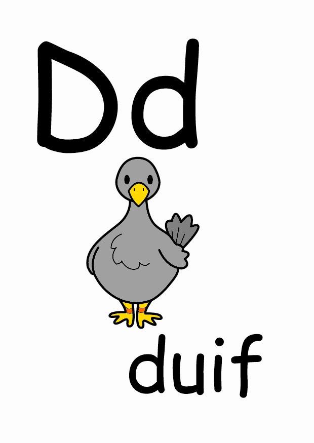 d Imagen d