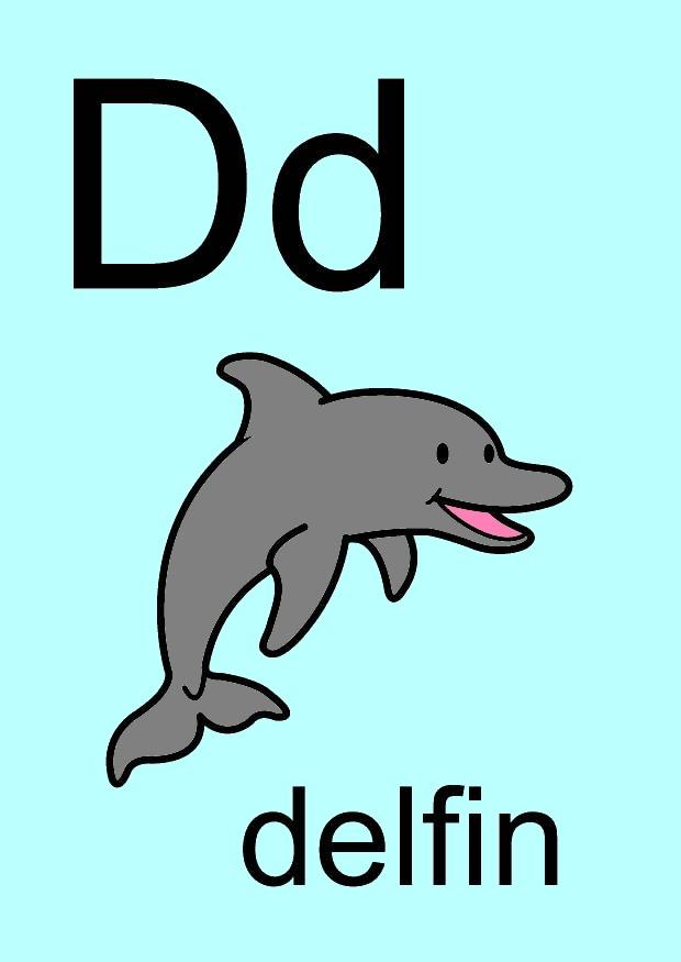 d Imagen d