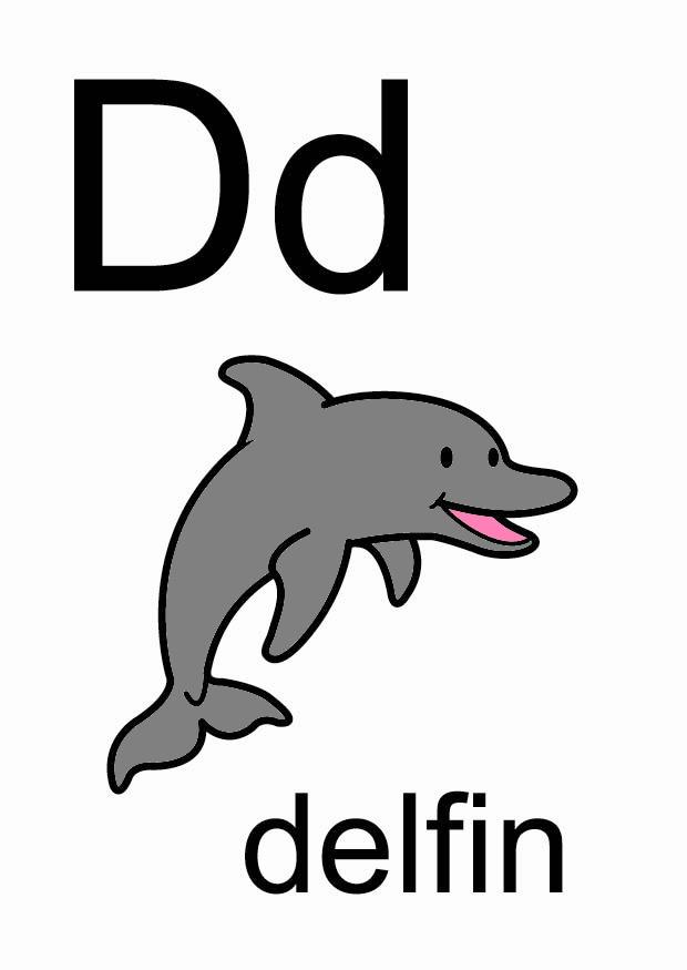 d Imagen d