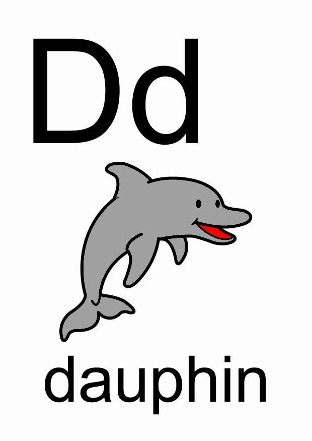 d Imagen d