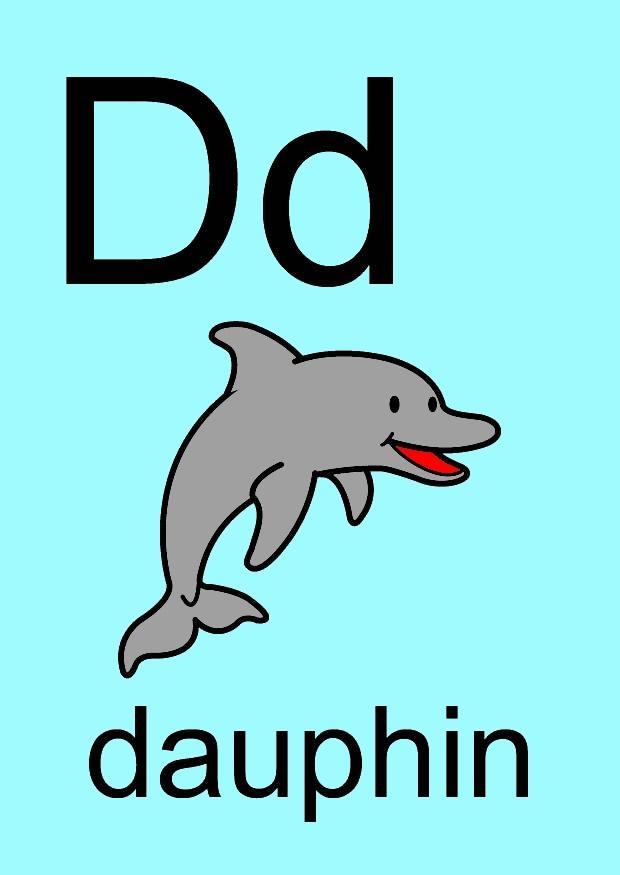 d Imagen d