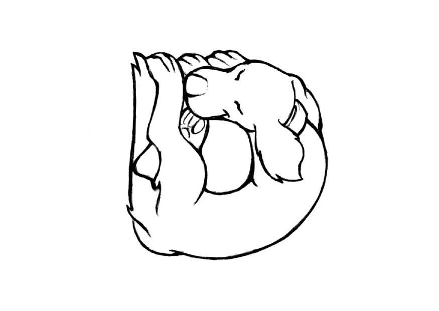 d-dog Dibujo para colorear d-dog