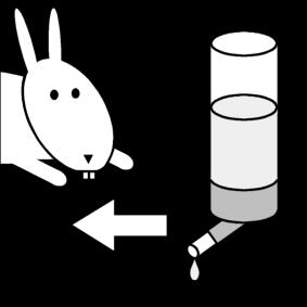Dibujo para colorear dar agua al conejo