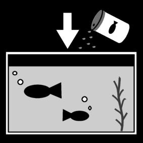 dar comida a los peces Dibujo para colorear dar comida a los peces