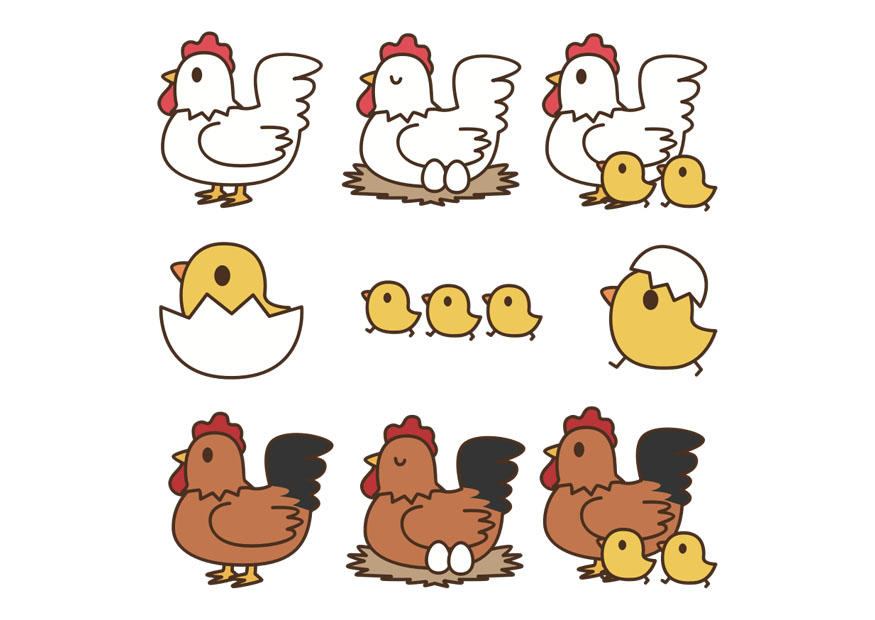 de huevo a gallina Imagen de huevo a gallina