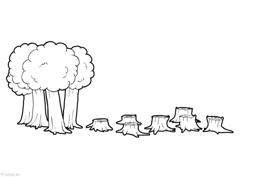Dibujo para colorear deforestaciA³n