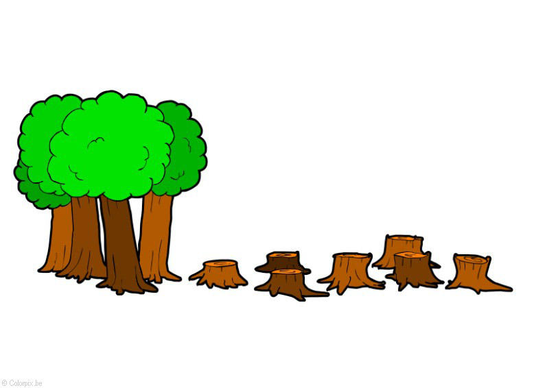 Imagen deforestaciA³n
