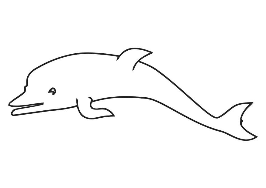 delfAn Dibujo para colorear delfAn