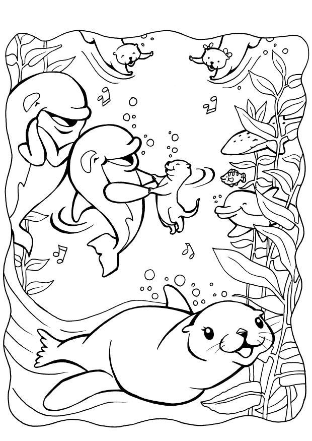 Dibujo para colorear delfines con foca