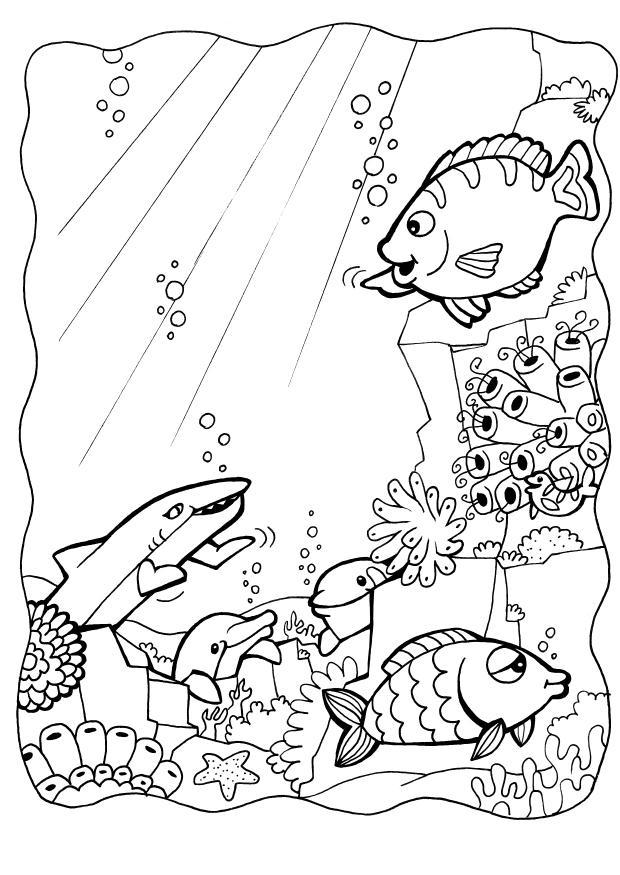 Dibujo para colorear delfines con peces