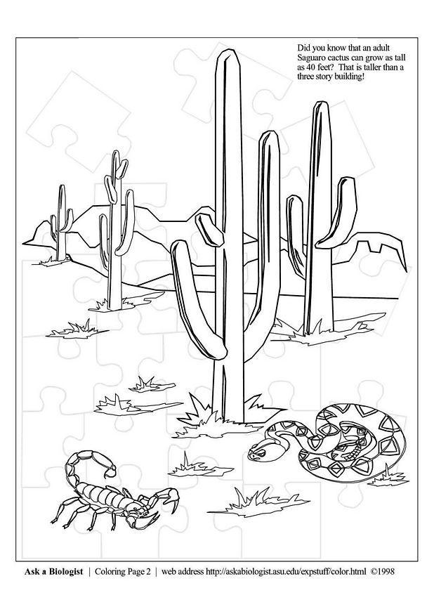 desierto Dibujo para colorear desierto