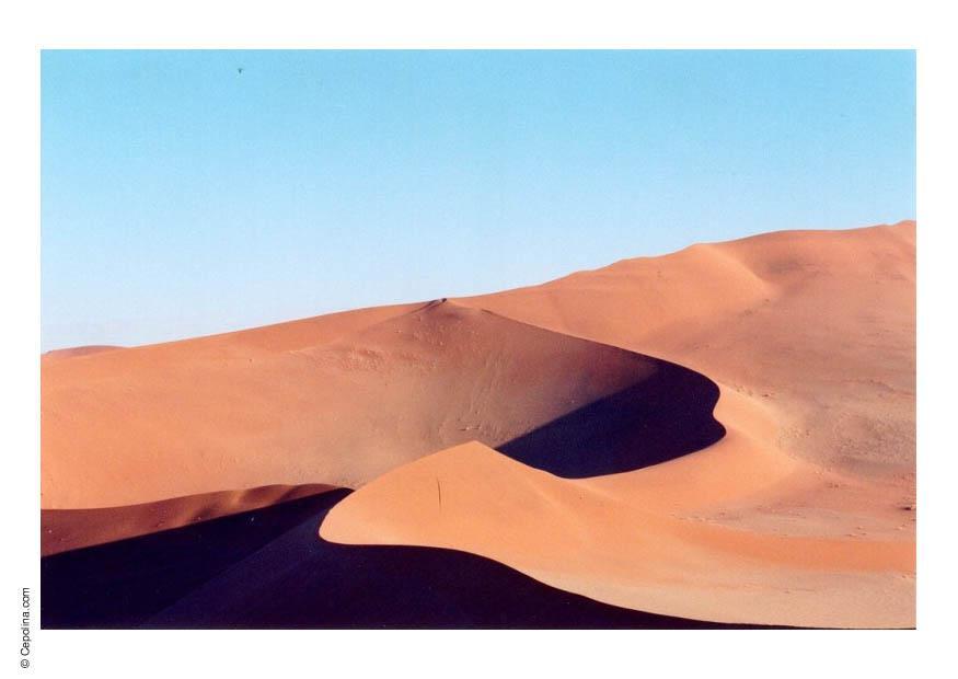 desierto Foto desierto