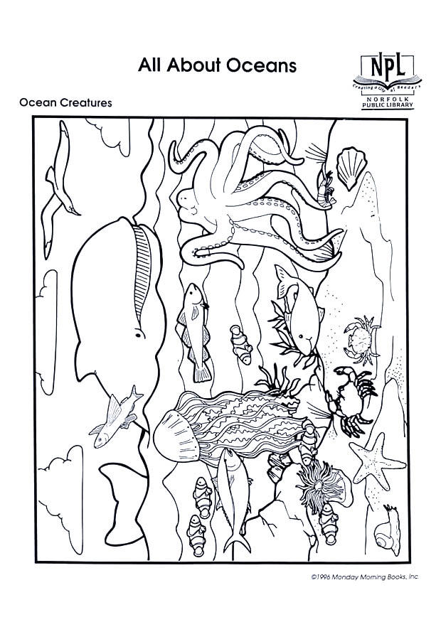Dibujo para colorear animales marinos