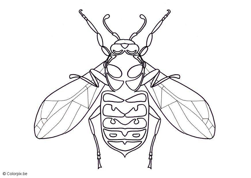 Dibujo para colorear avispa
