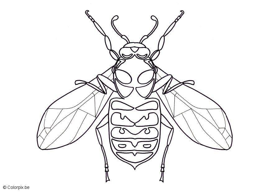 Dibujo para colorear avispa