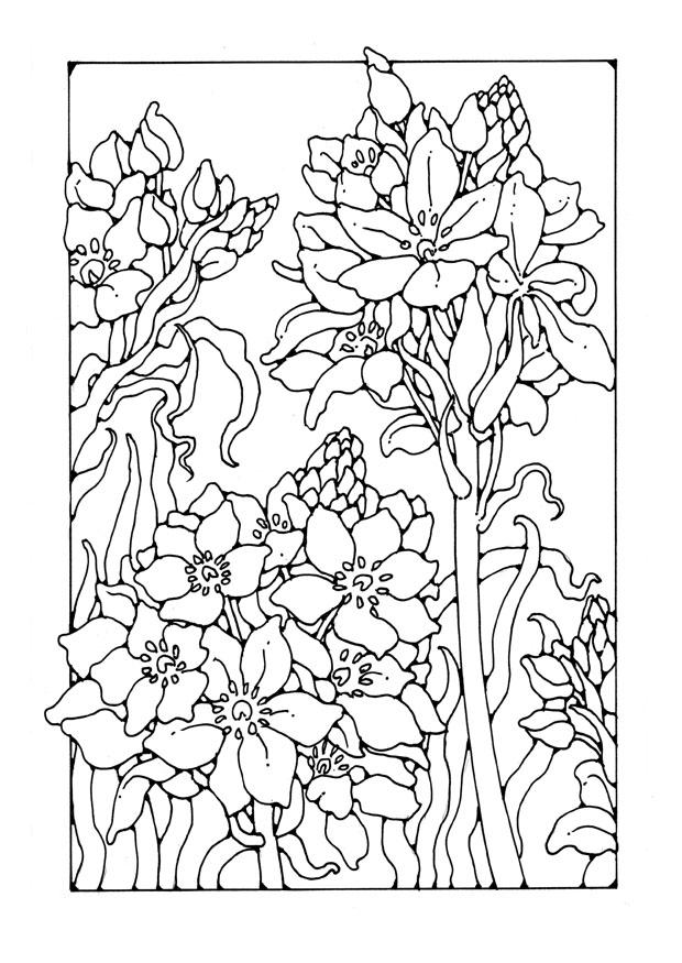 Dibujo para colorear azuzena