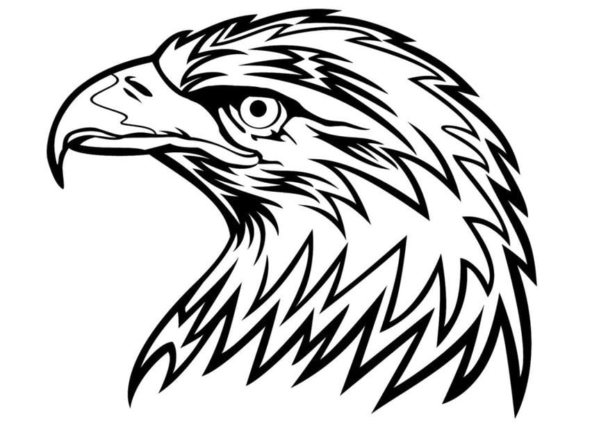Dibujo para colorear A¡guila