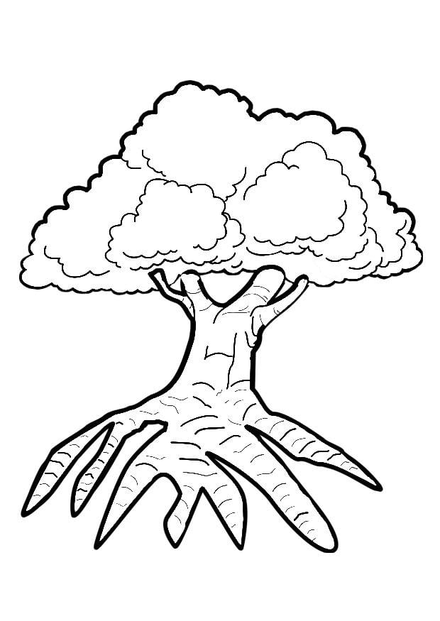 Dibujo para colorear A¡rbol