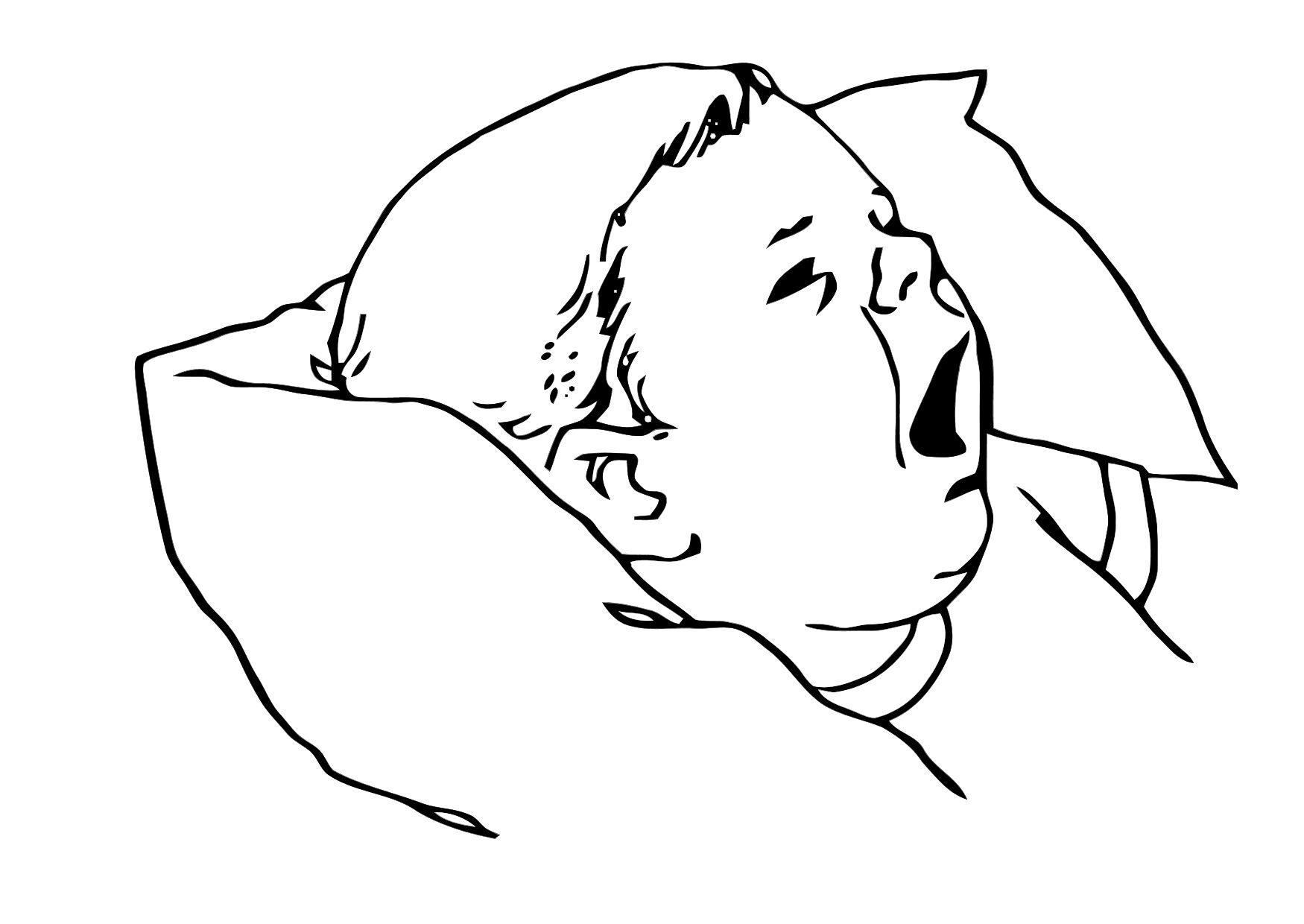 Dibujo para colorear bebA©