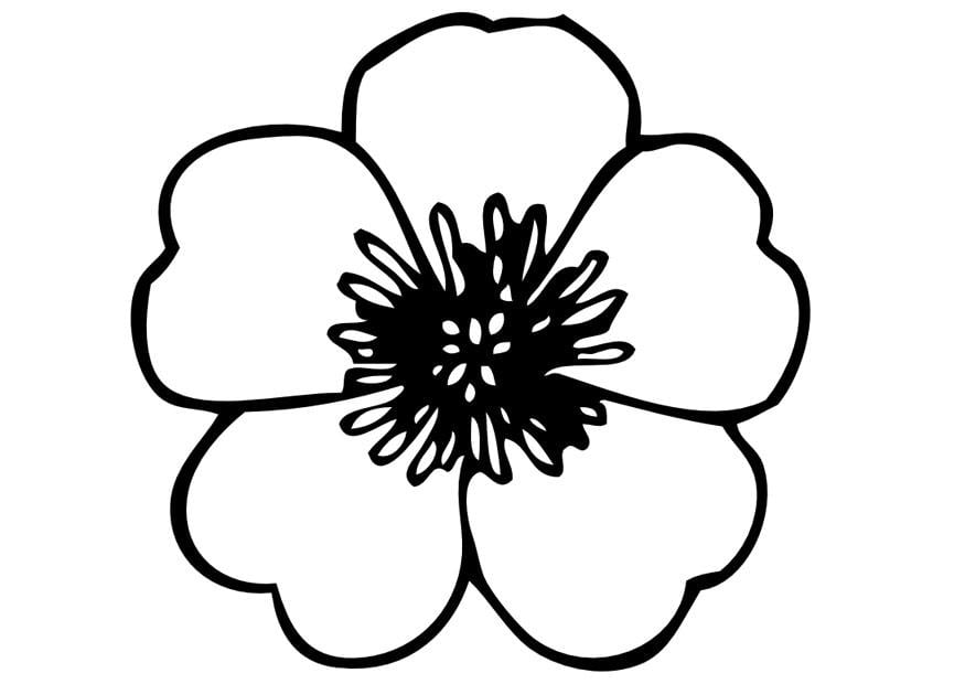 Dibujo para colorear botA³n de oro