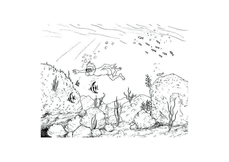 Dibujo para colorear buceador