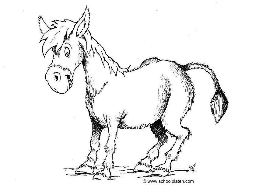 Dibujo para colorear burro