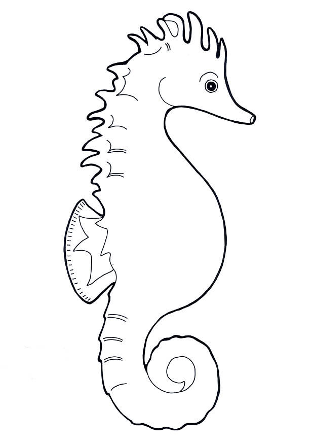 Dibujo para colorear caballito de mar