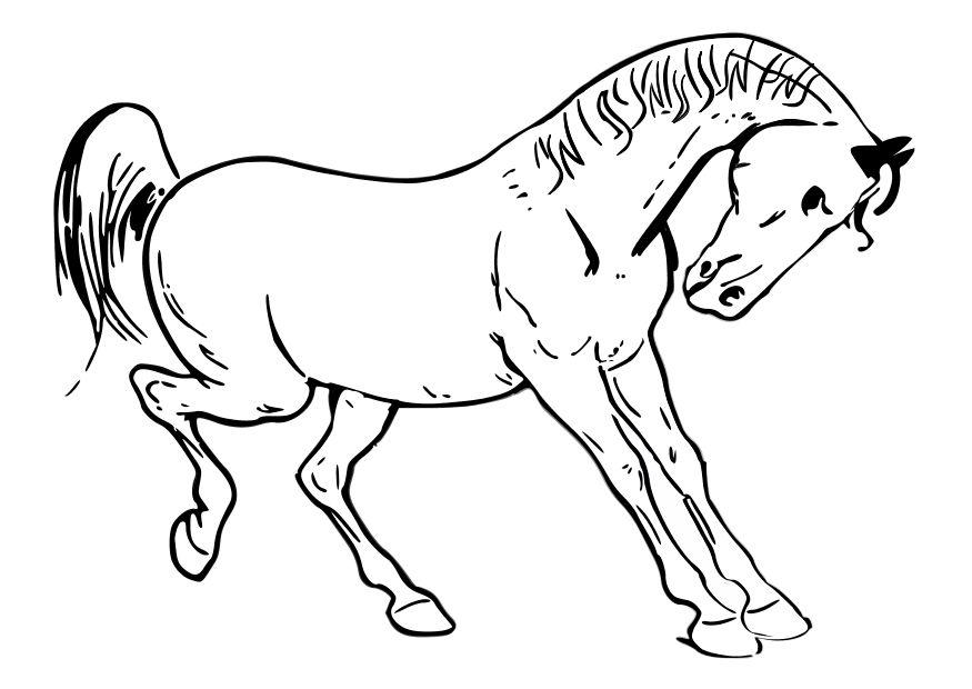 Dibujo para colorear caballo