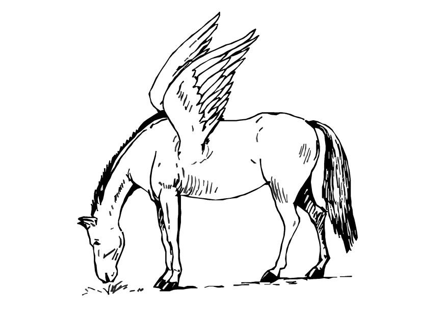 Dibujo para colorear caballo volador