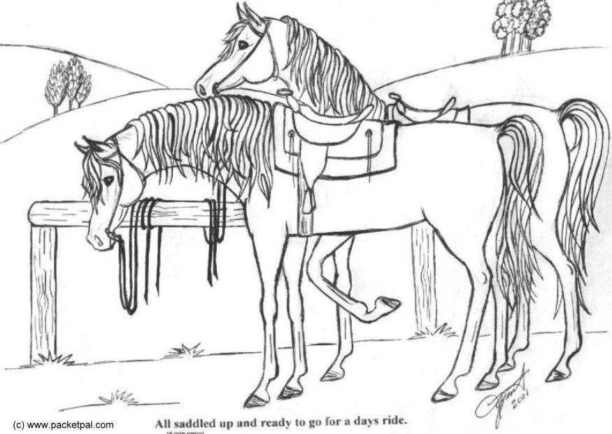 Dibujo para colorear caballos ensillados