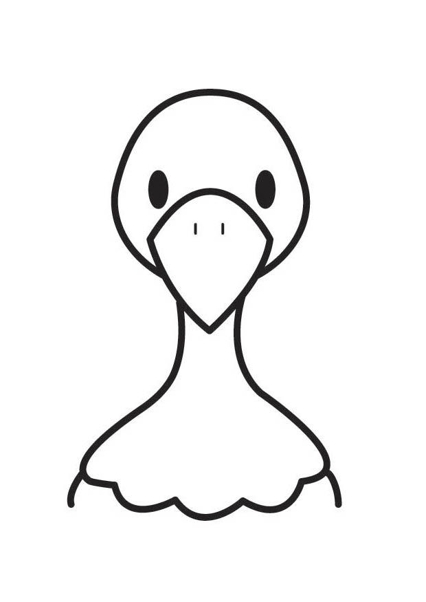 Dibujo para colorear cabeza de paloma